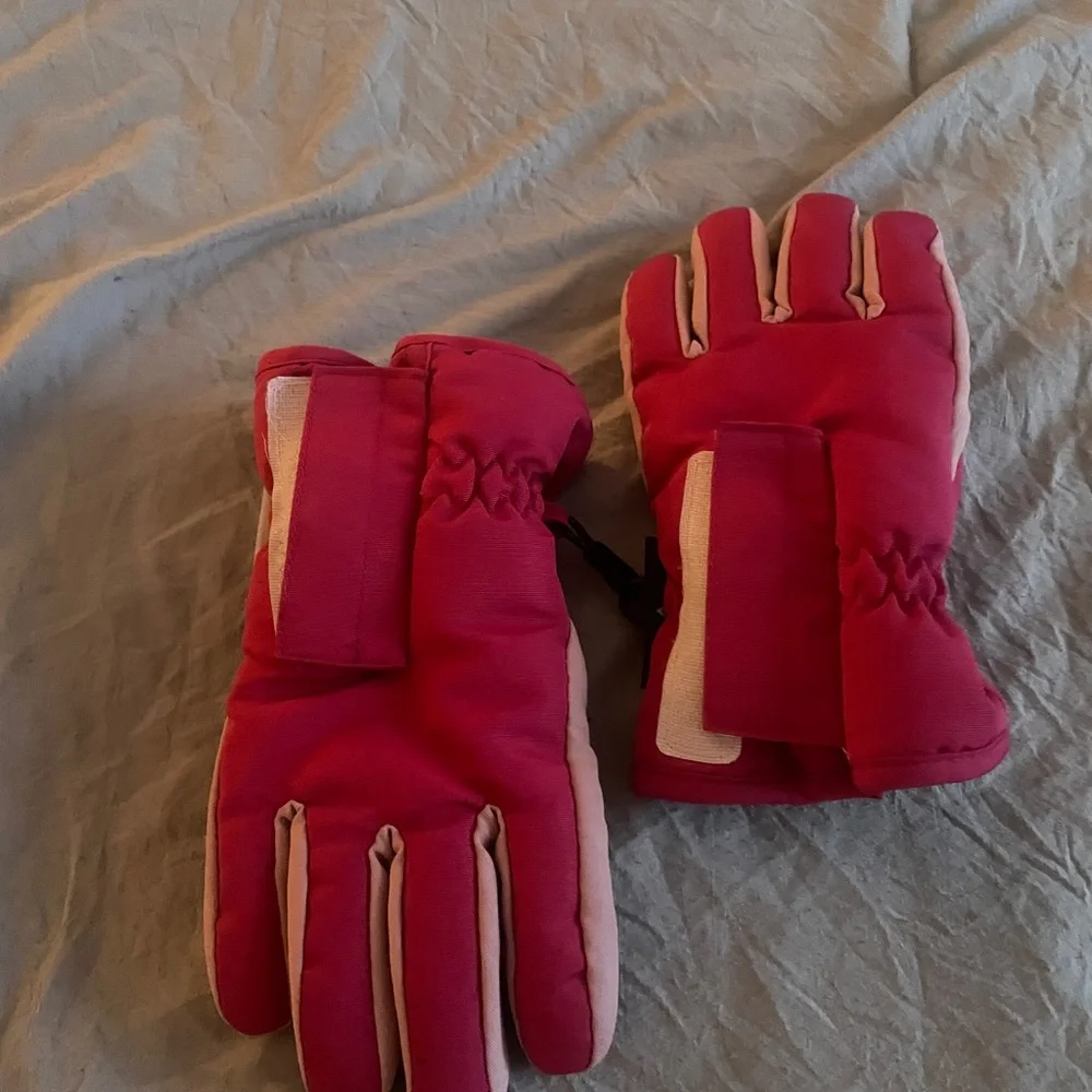Winter Gloves- Size 2-4T